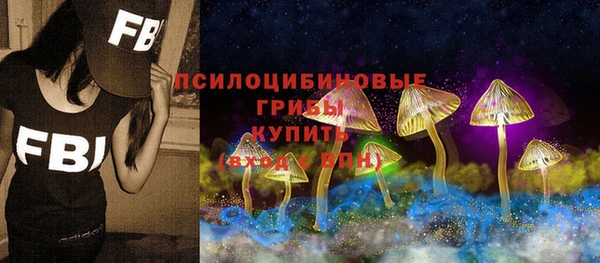 гашик Костерёво