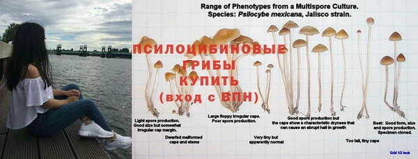Альфа ПВП Алексеевка