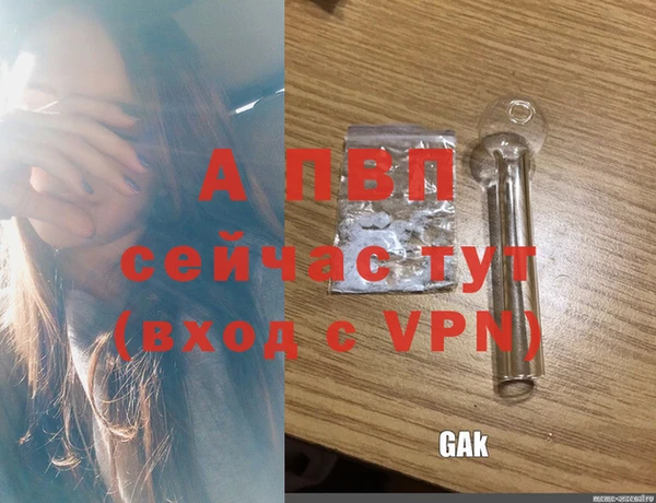 крисы Коряжма