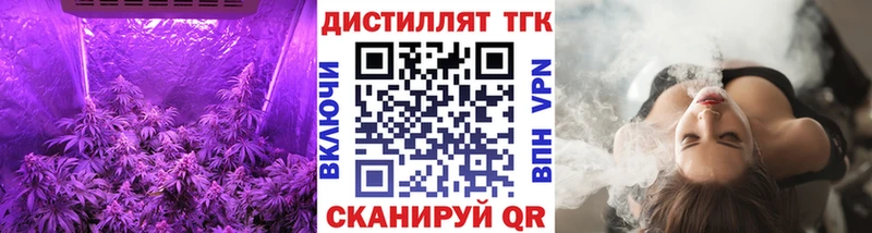 ТГК Wax  Сясьстрой 