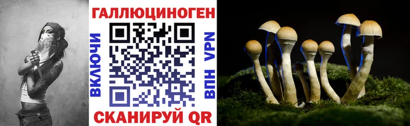 Галлюциногенные грибы Psilocybe  Сясьстрой 