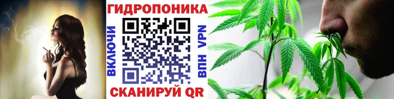 Марихуана OG Kush Сясьстрой